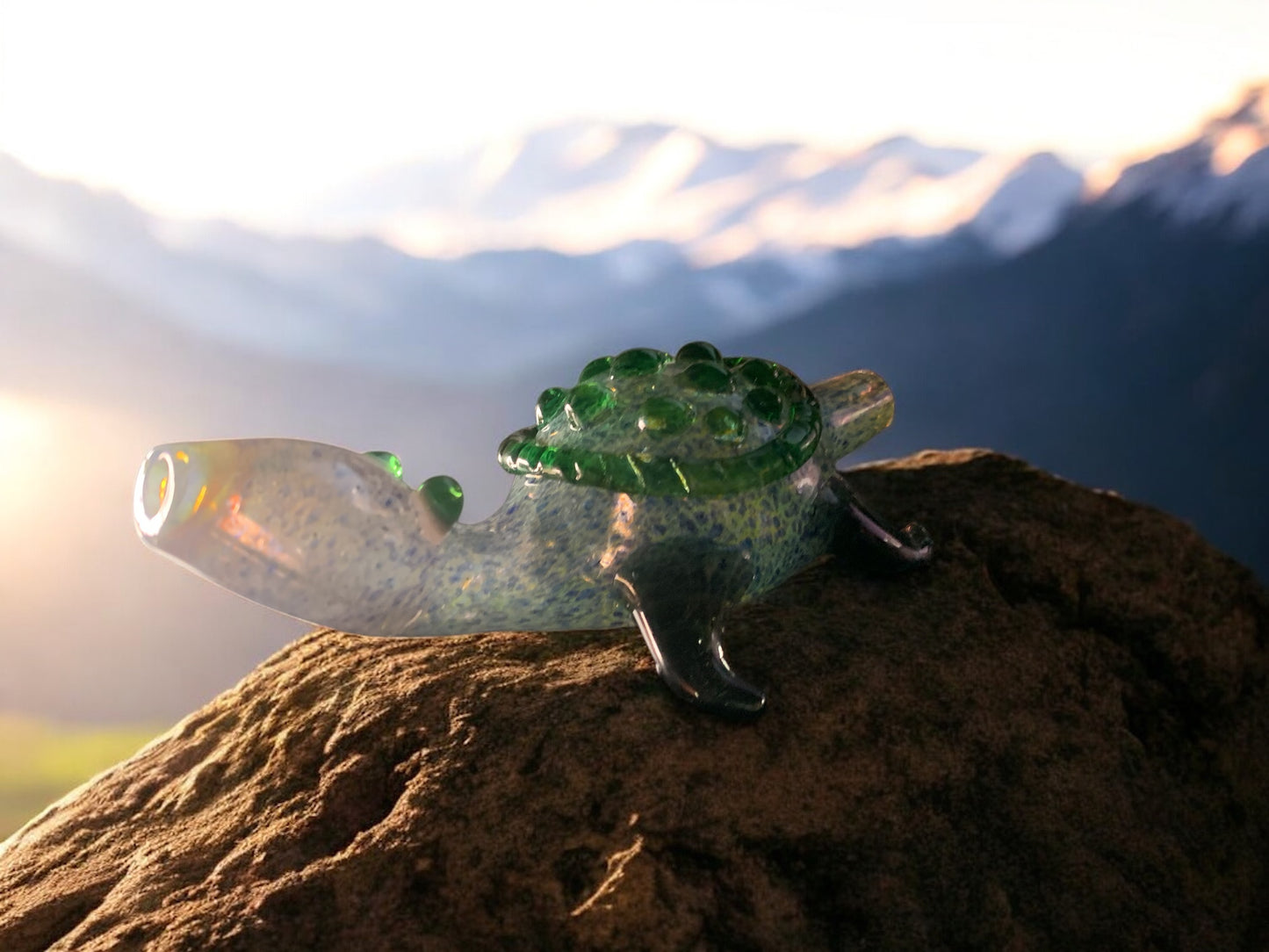 Tidewalker Turtle