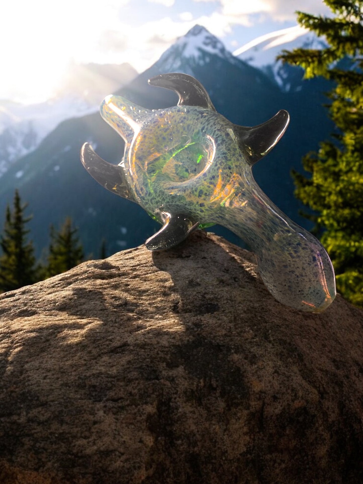Tidewalker Turtle